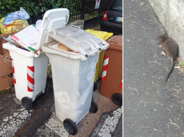 cesano-rifiuti-e-topi