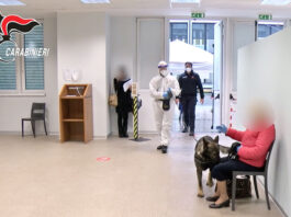 cani-anticovid-carabinieri