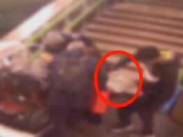 rapina-metropolitana