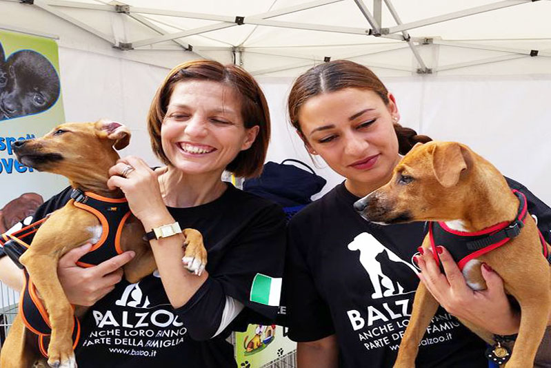 banco-alimentare-gatti-cani