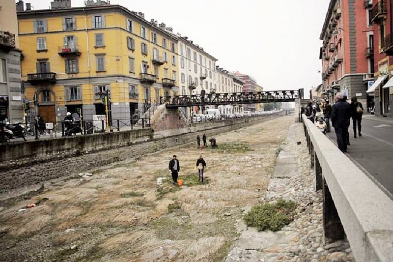 773040 ASSOCIAZIONI AMBIENTALISTE E VOLONTARI SALVANO I PESCI RIMASTI PRIGIONIERI DOPO LA SECCA INVERNALE DEL NAVIGLIO