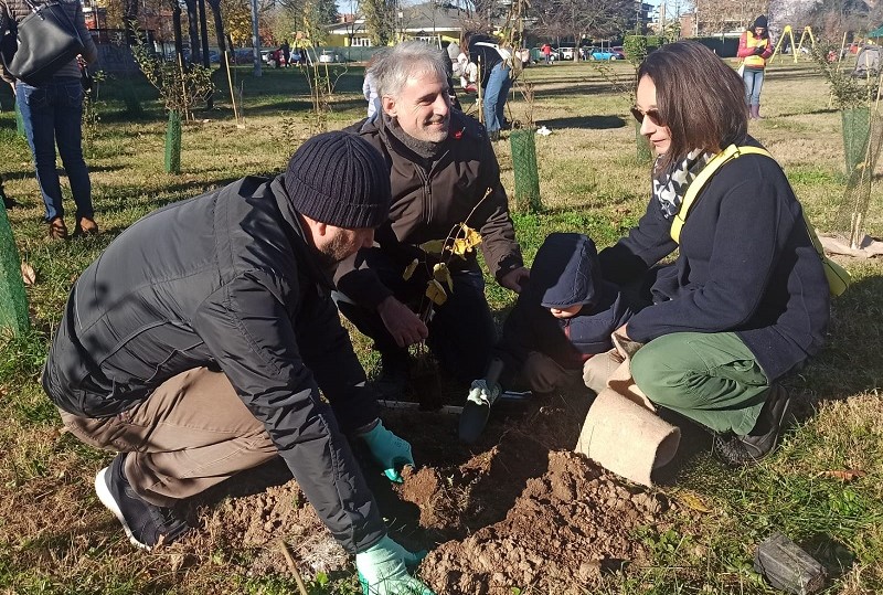 20231126_Cesano Boscone _albero nuovi nati_3