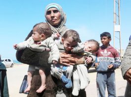 gaza
