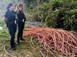 rozzano recupero rame polizia locale