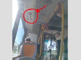 vandali-linea-322-cesano-boscone---bisceglie